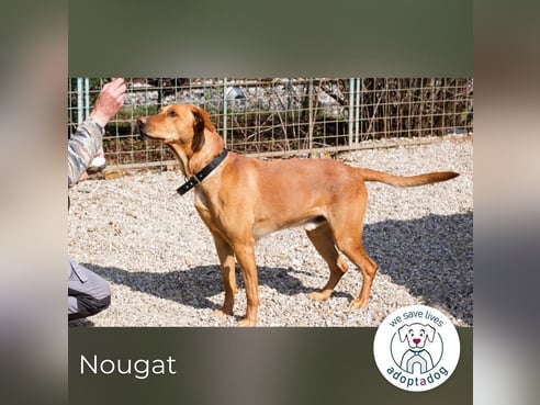 Inseratsbild