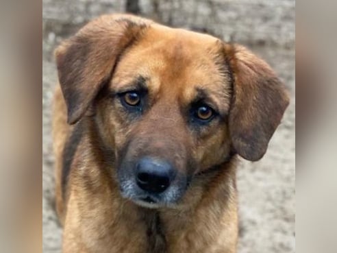 Inseratsbild