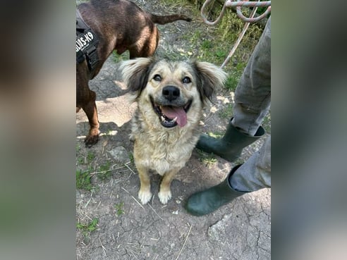 Inseratsbild