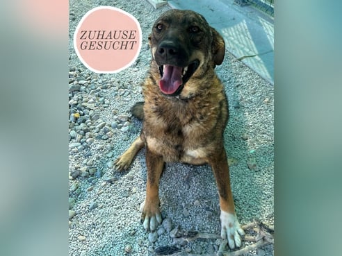 Inseratsbild