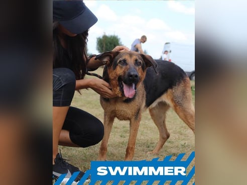 Inseratsbild