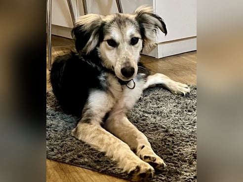 Inseratsbild