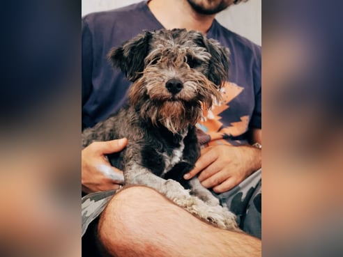 Inseratsbild