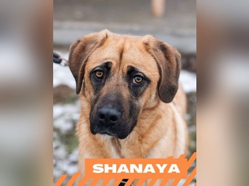 Inseratsbild