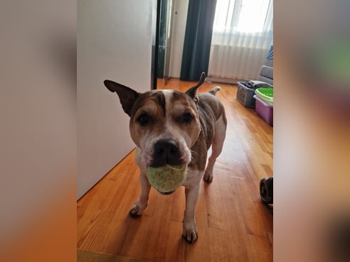 Inseratsbild