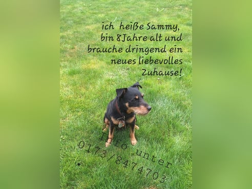 Inseratsbild