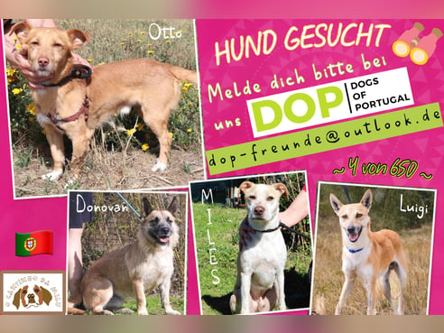 Inseratsbild
