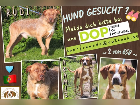 Inseratsbild