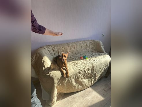 Inseratsbild