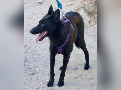 Inseratsbild