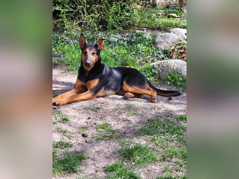Inseratsbild