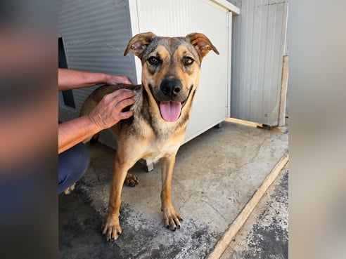 Inseratsbild