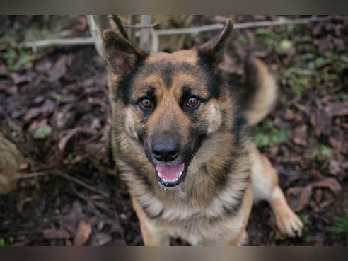 Inseratsbild