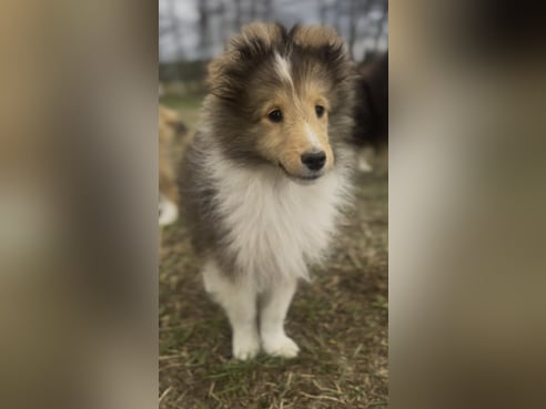 Inseratsbild
