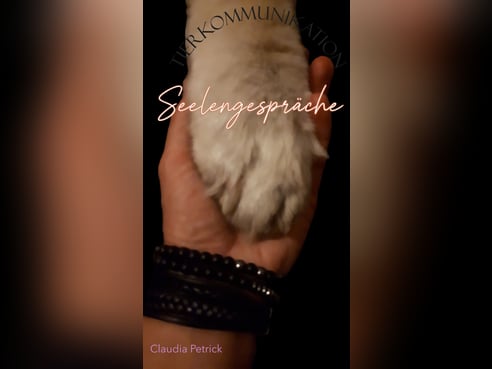 Inseratsbild