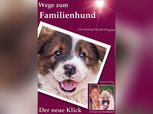 Inseratsbild
