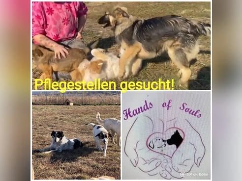 Inseratsbild