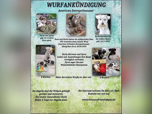 Inseratsbild