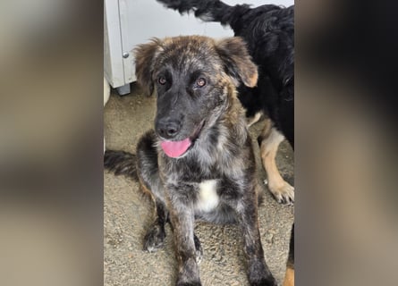 Melody: freut sich aufs Leben in Freiheit