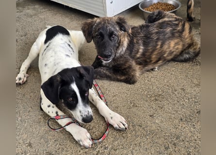 Melody: freut sich aufs Leben in Freiheit