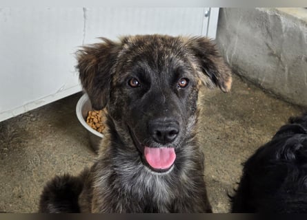 Melody: freut sich aufs Leben in Freiheit