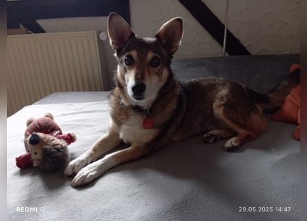 Lucia-Seniorin sucht Senioren-WG!