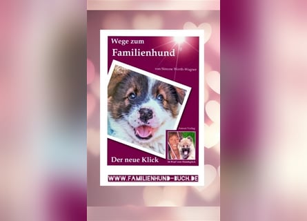 Welpe, Hund, Mischling, Rasse - Erziehung zum Familienhund - einfach gemacht
