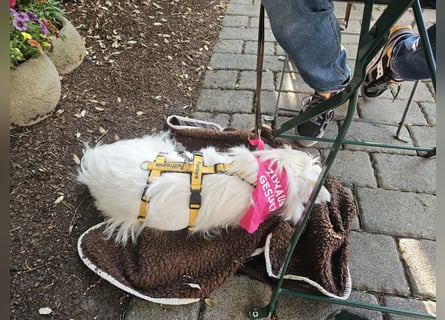 Larry: freut sich auf Besuch nahe Bonn
