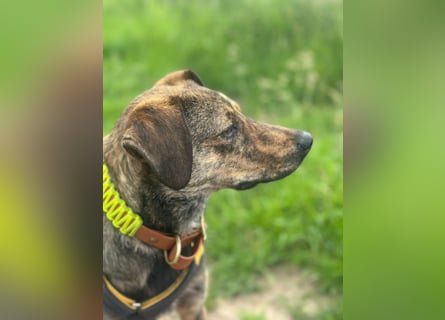 Paco: freut sich über Besuch in Bremen
