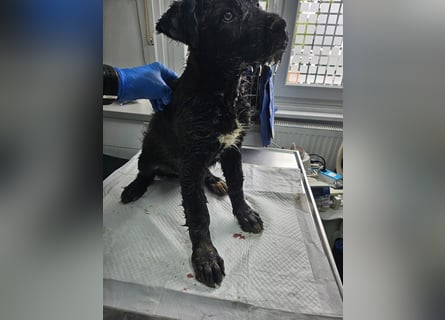 Eléa – Kleine Entdeckerin mit großem Herz sucht Zuhause