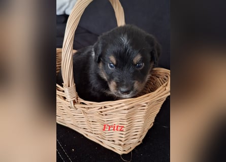 Sie sind endlich da 4 Mädels und 5 Jungs