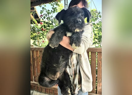 Eléa – Kleine Entdeckerin mit großem Herz sucht Zuhause