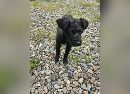 Eléa – Kleine Entdeckerin mit großem Herz sucht Zuhause