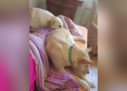 Mila, erwachsene Frau der vielen Facetten