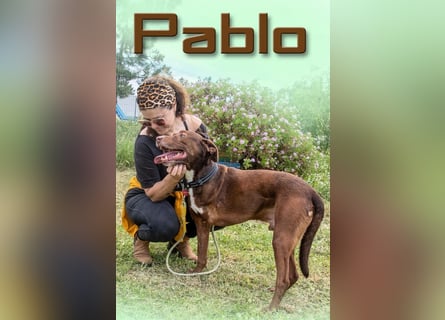 Pablo – fit trotz Handicap