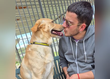 Akash - für mehr Lachen, Leben und Liebe in deinem Alltag