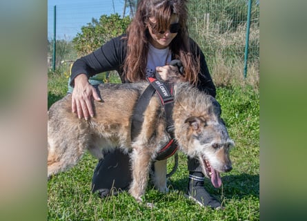 Lucky – mit Handicap