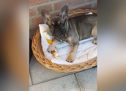 Liebevolles Zuhause gesucht