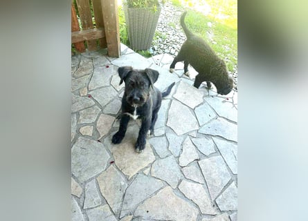 Eléa – Kleine Entdeckerin mit großem Herz sucht Zuhause
