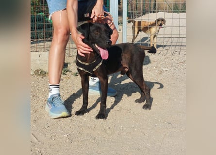 Lucignolo: einfach nur Zucker