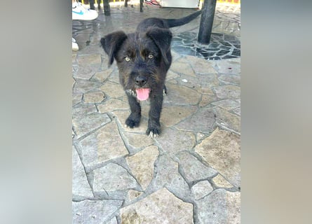 Eléa – Kleine Entdeckerin mit großem Herz sucht Zuhause