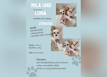 Süßes Mutter Tochter Duo sucht liebevollen Platz