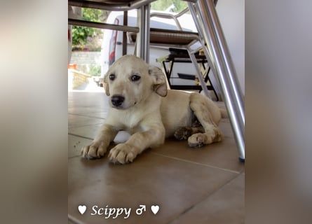 Drei Süße suchen ein Zuhause