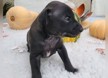 Zwei bezaubernden Mädchen mit Papieren