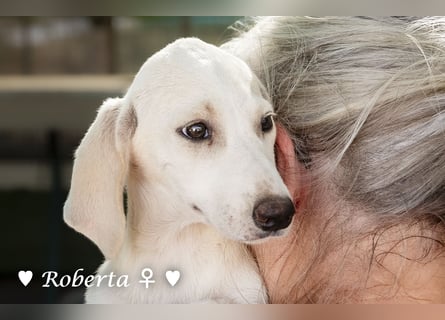 Roberta und Robbie, f.,  suchen eine Familie