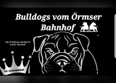 Big Boy Bruno Vom Örmser Bahnhof sucht sein Zuhause