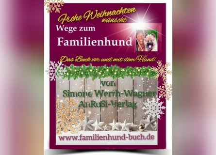 Vor und mit dem Welpen, Junghund, erwachsenen Hund: Das Buch Wege zum Familienhund