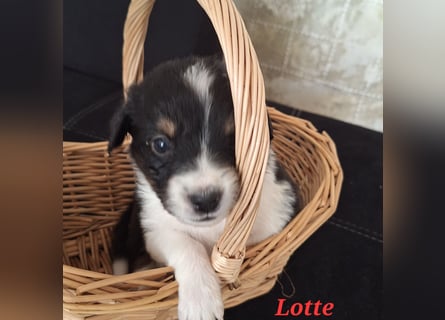 Sie sind endlich da 4 Mädels und 5 Jungs
