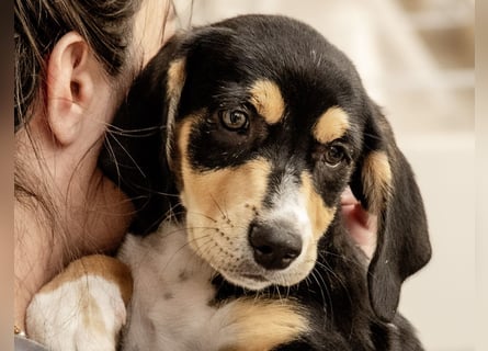 Kokonimix Tammy und Sammy suchen ein Zuhause