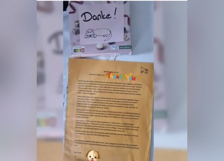 2020, 2025 waren tolle Würfe, 2026 plane ich erneut 1 Wurf  Labradoodlewelpen F1bb in crem
